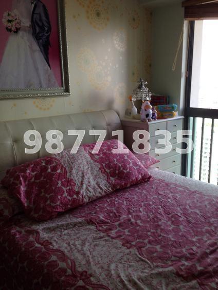 Blk 1C The Pinnacle@Duxton (Bukit Merah), HDB 4 Rooms #64056642
